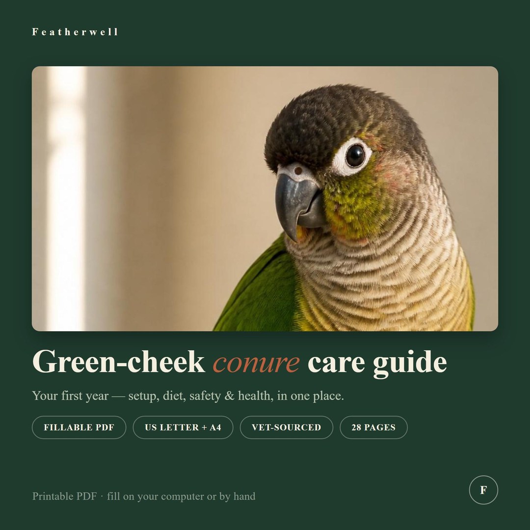 Green-Cheek Conure Care Guide