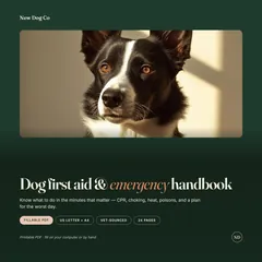 Dog First-Aid Kit Printable