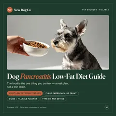 Dog Pancreatitis Low-Fat Diet & Recovery Guide