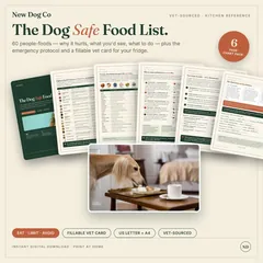 Dog Safe Food List