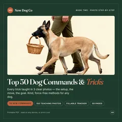 Top 50 Dog Commands & Tricks (Book Two)