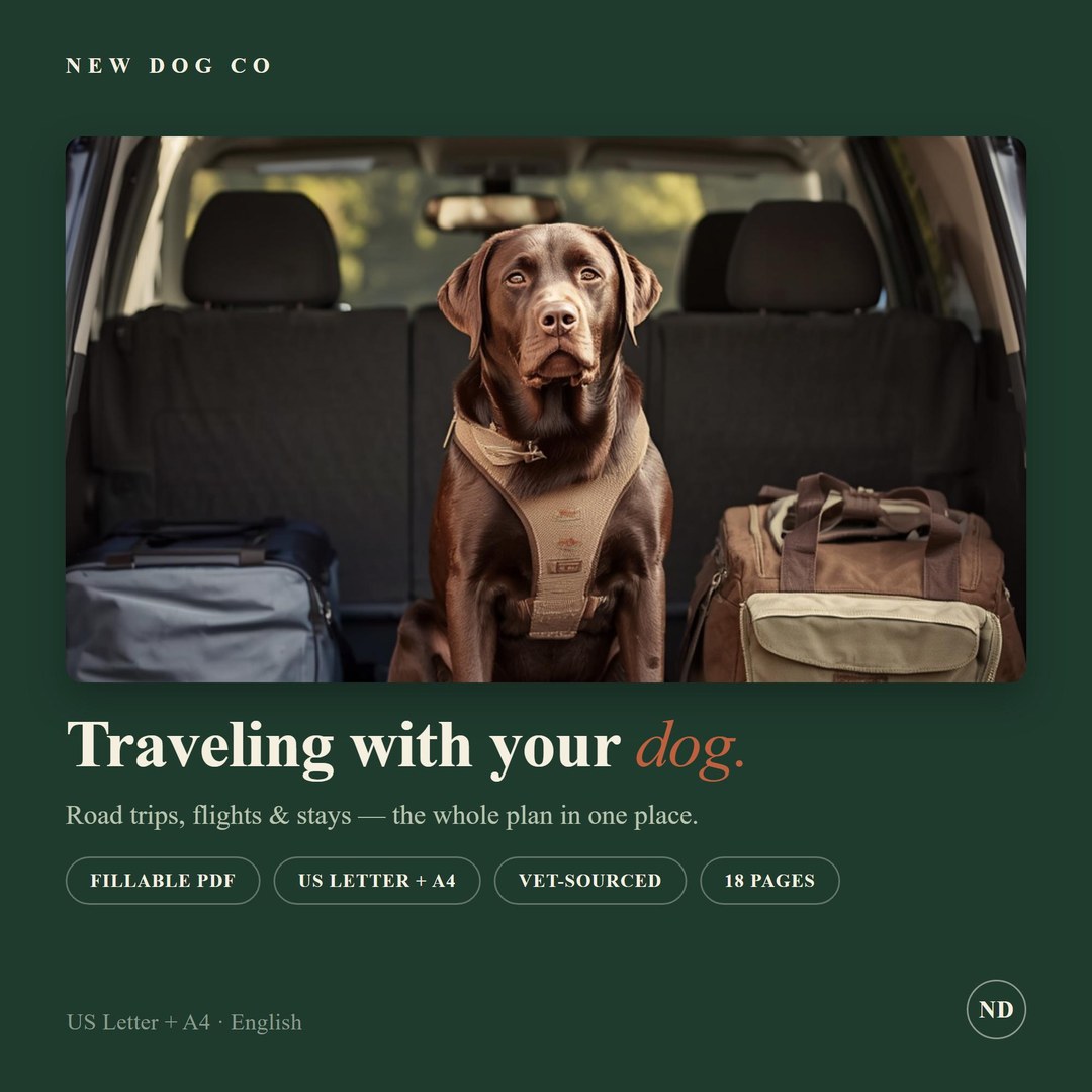 Dog Travel Guide