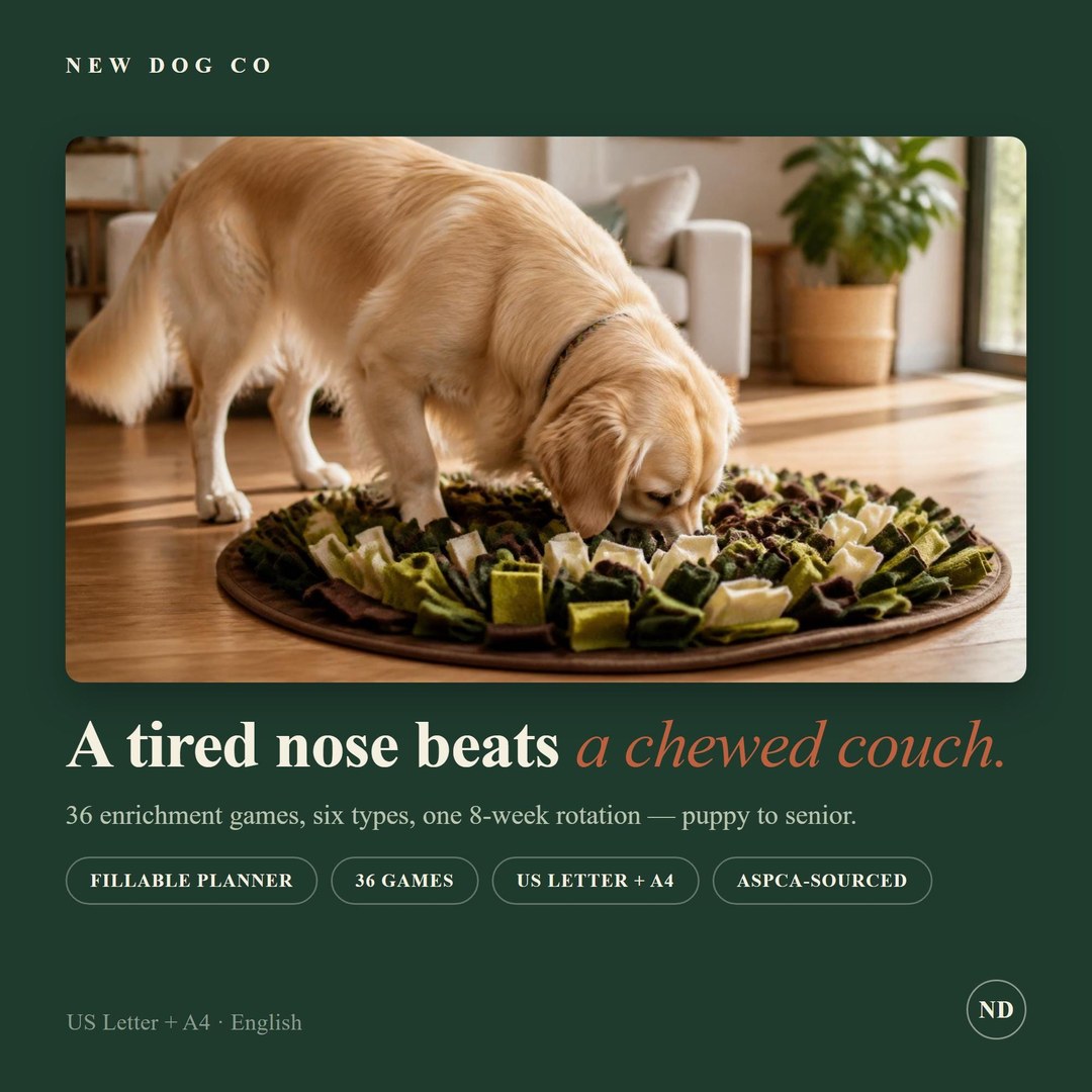 Dog Enrichment Activity Pack