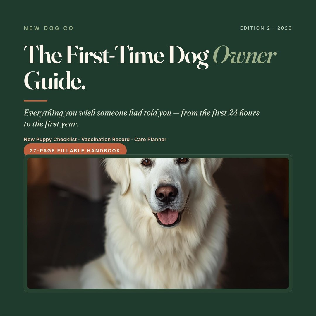 First-Time Owner Guide