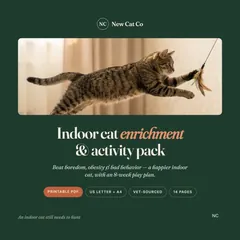 Indoor Cat Enrichment Pack