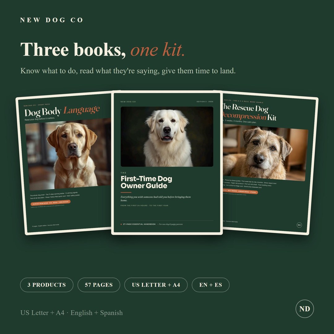 New Dog Owner Starter Kit
